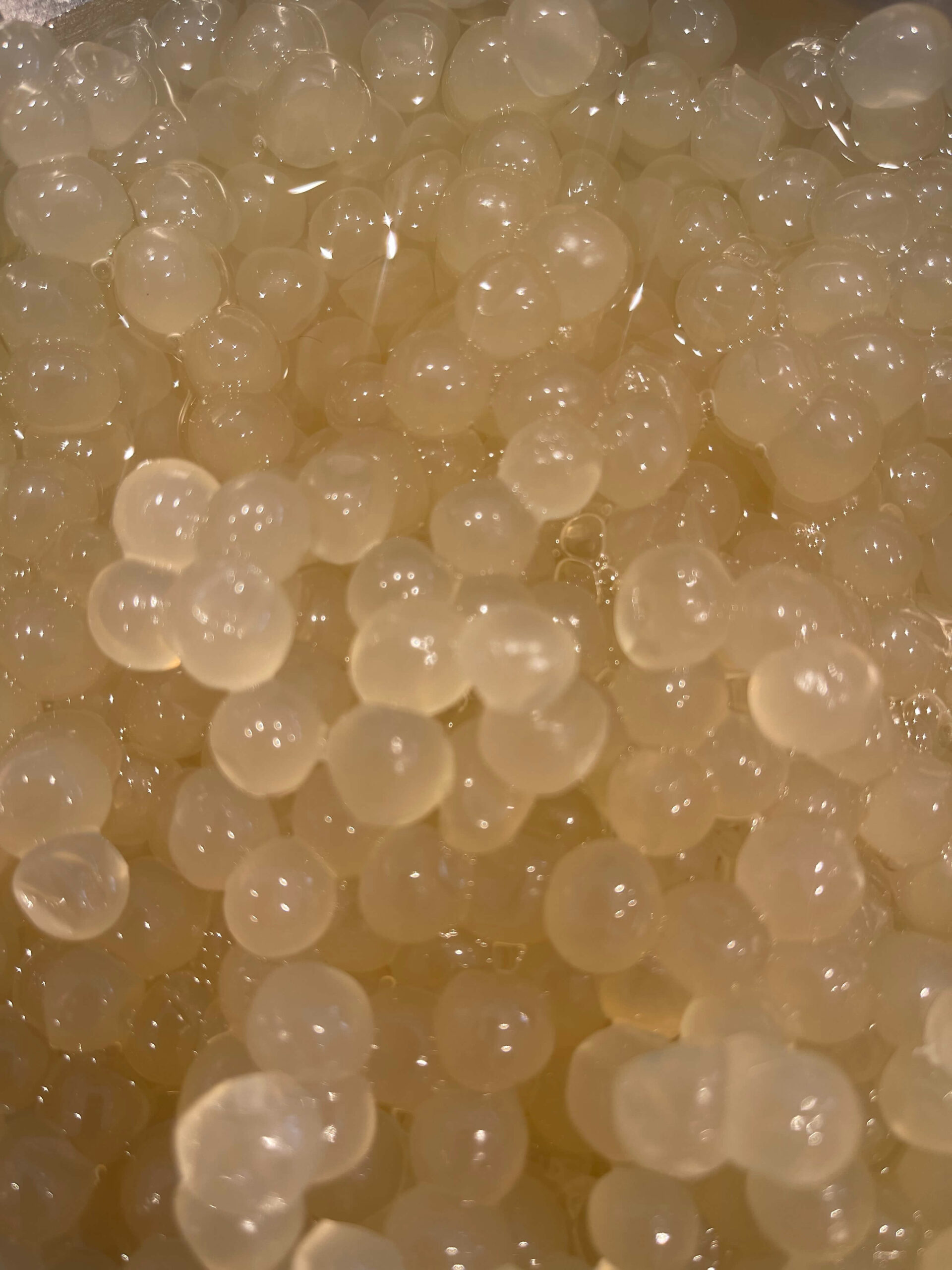 Bubble tea au Luxembourg découvrez nos saveurs